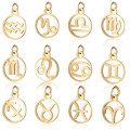 12 chinesische Gold Sternzeichen Halskette Anhänger Schmuck finden, Edelstahl Sternzeichen Münze Anhänger Charm Set 12 Stück pro Set